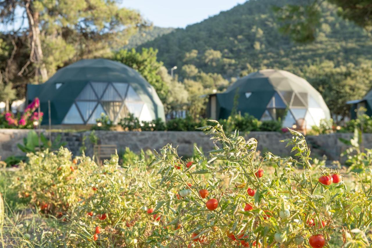 Lusso Glamping Bodrum Hotel Luaran gambar