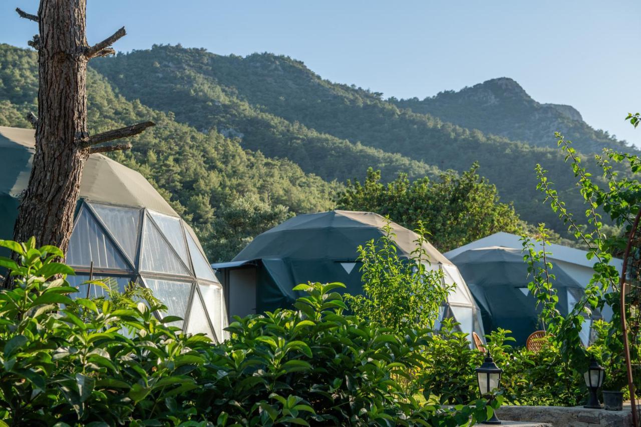 Lusso Glamping Bodrum Hotel Luaran gambar